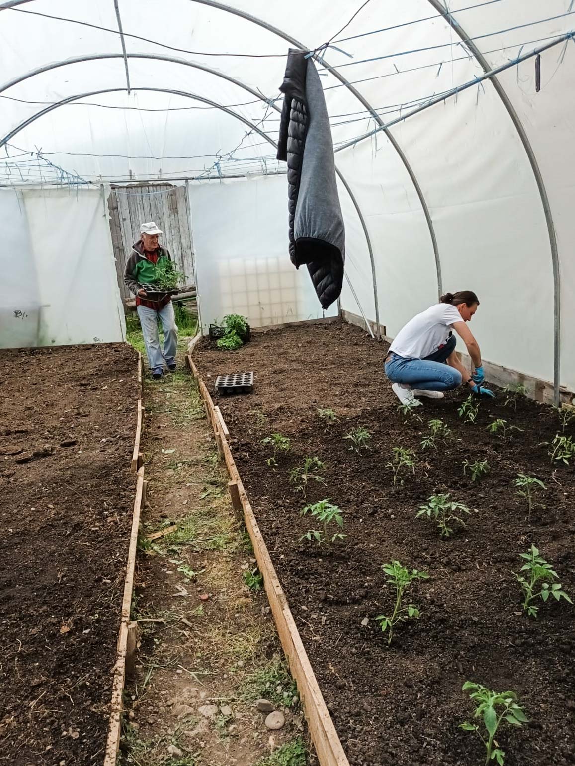 Servicii | Centrul rezidențial „Blândul Păstor” Roznov