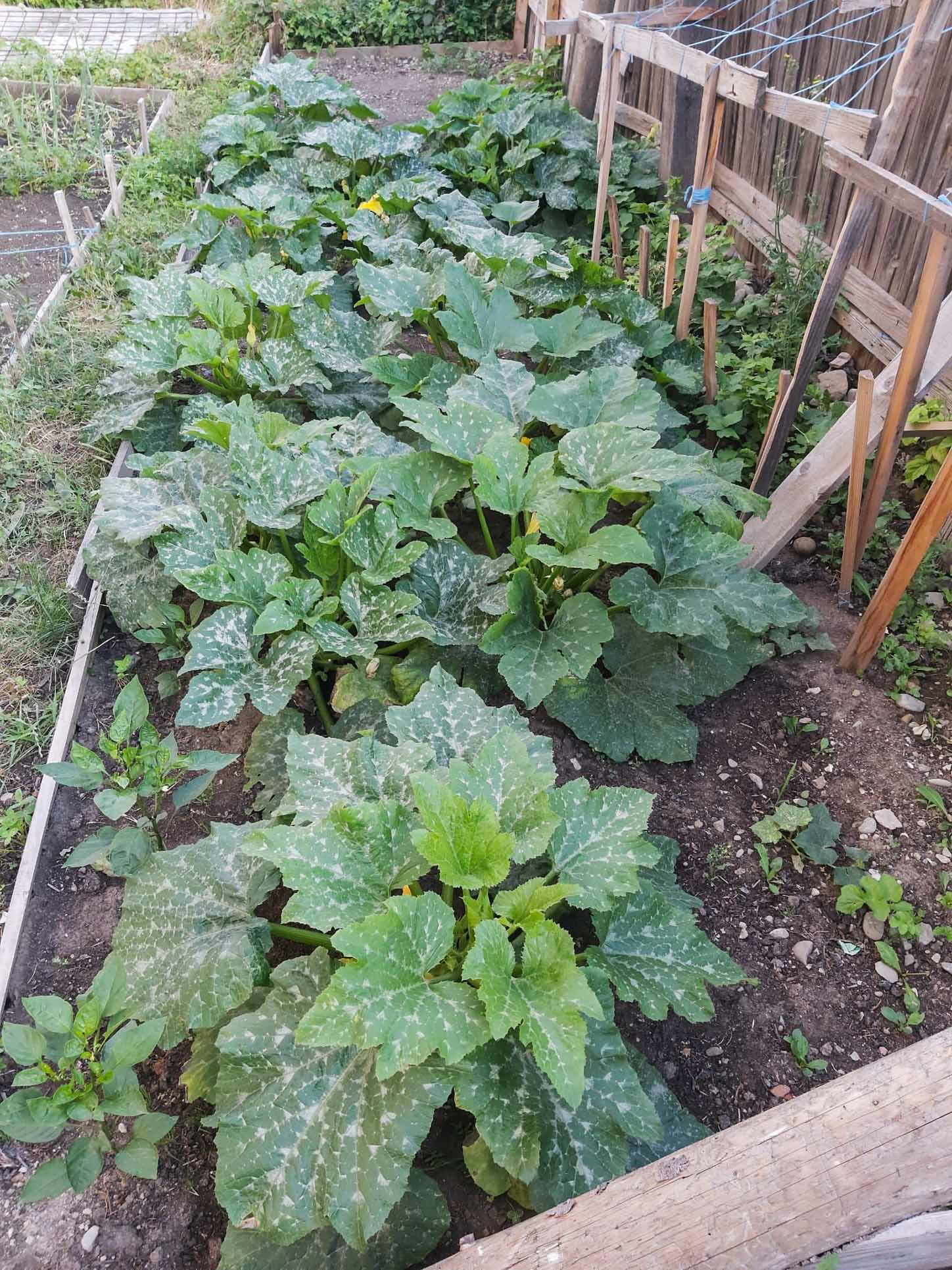 Activități prin care ne petrecem timpul împreună