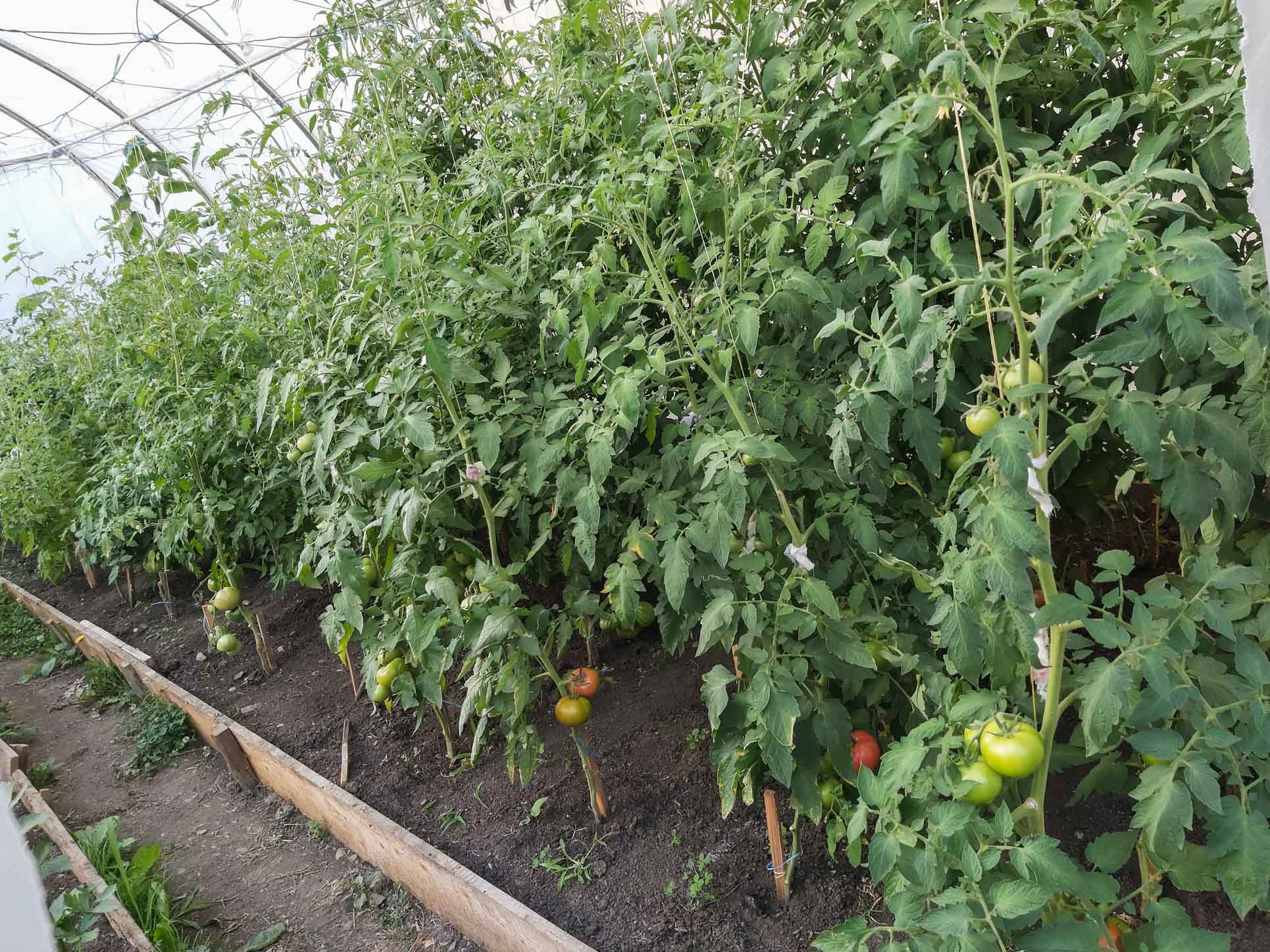 Activități prin care ne petrecem timpul împreună